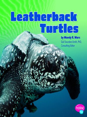 cover image of Leatherback Turtles